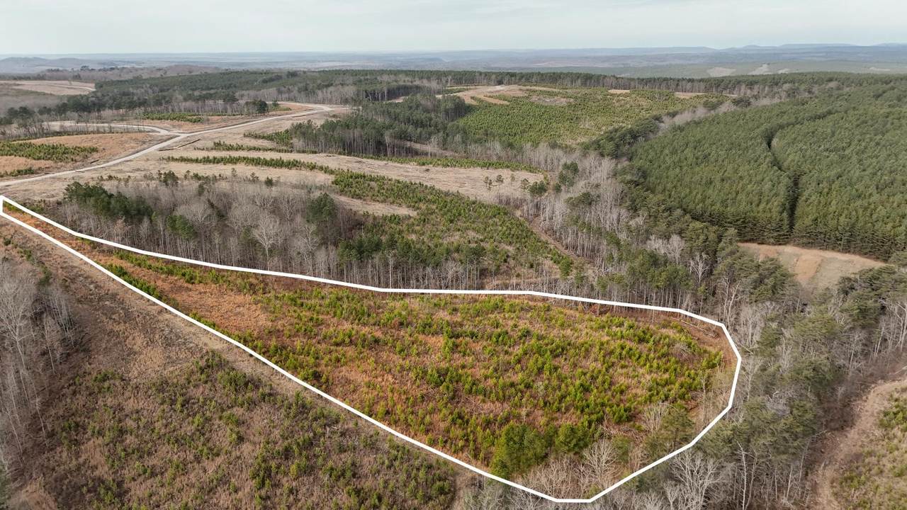 0 State Rt 399 Lot 13 - Photo 1