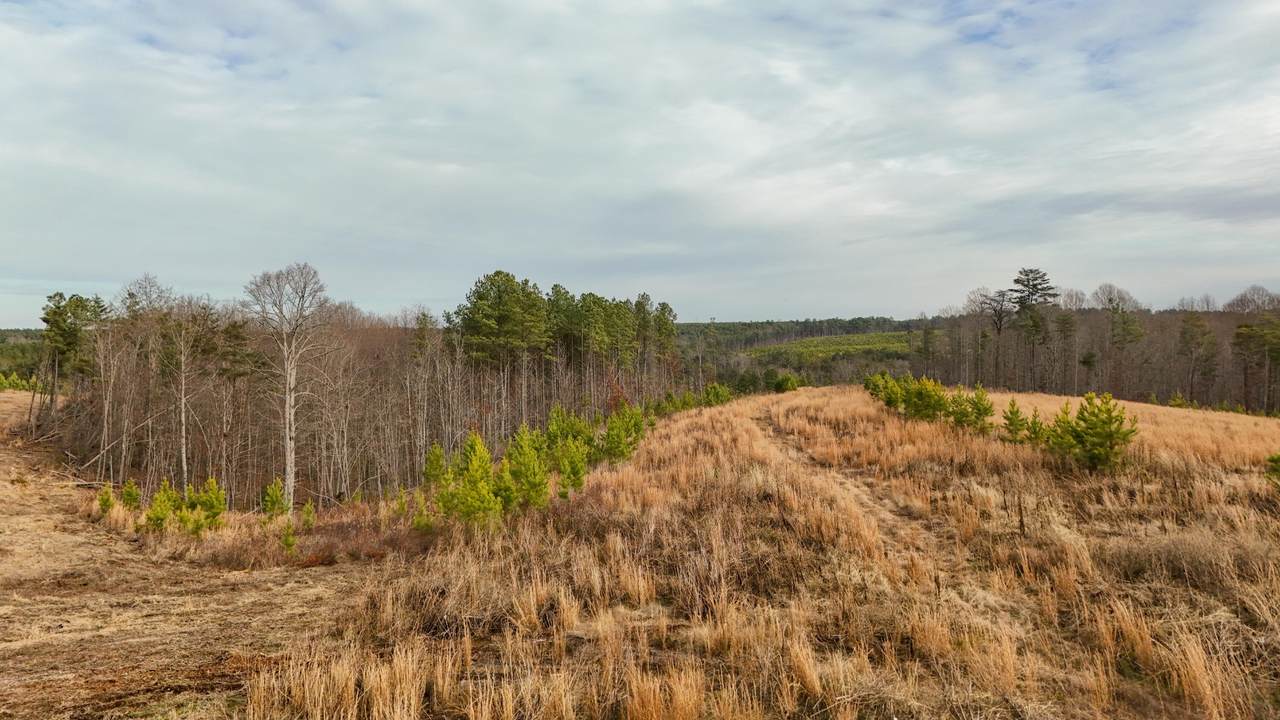 https://bt-photos.global.ssl.fastly.net/nashville/1280_boomver_1_RTC3234695-1.jpg