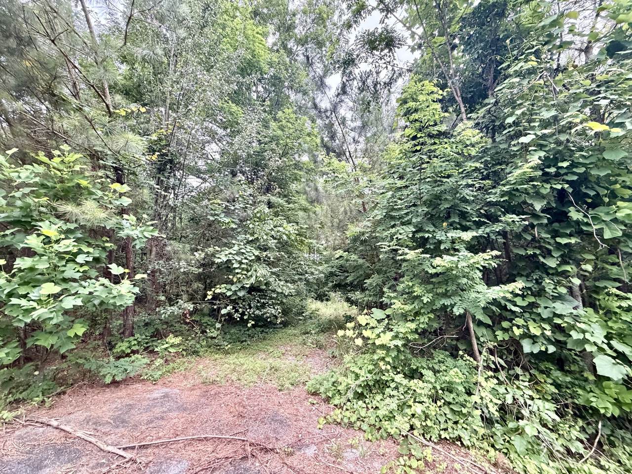 0 Cobbler Ridge Road - Photo 1
