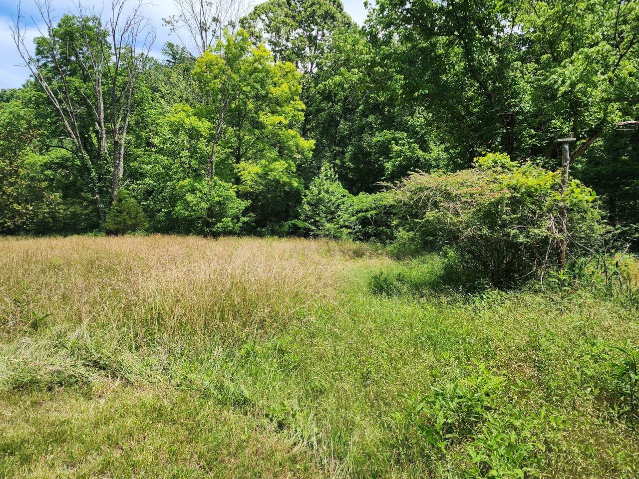 https://bt-photos.global.ssl.fastly.net/nashville/1280_boomver_1_RTC3234874-1.jpg