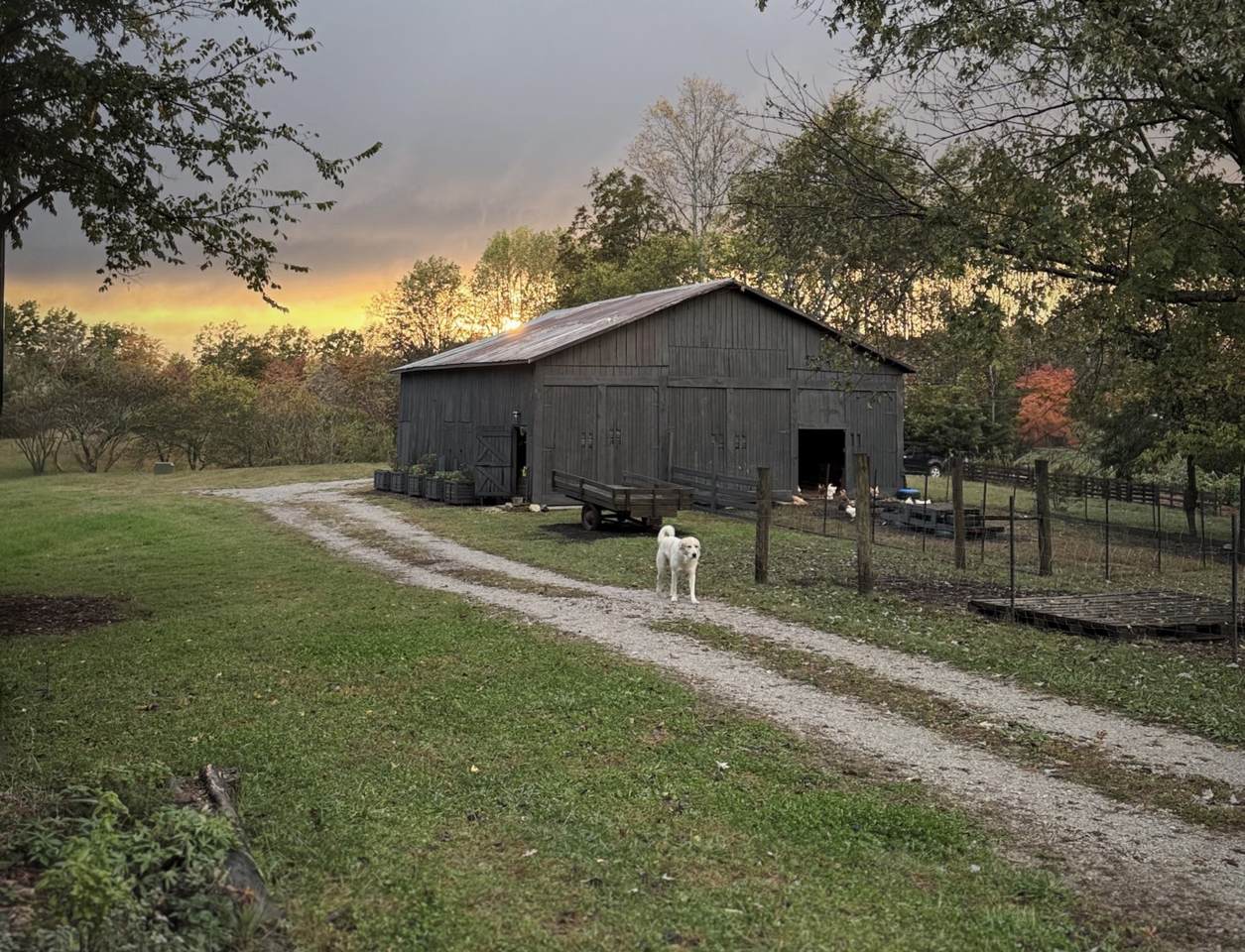 https://bt-photos.global.ssl.fastly.net/nashville/1280_boomver_1_RTC3239562-1.jpg
