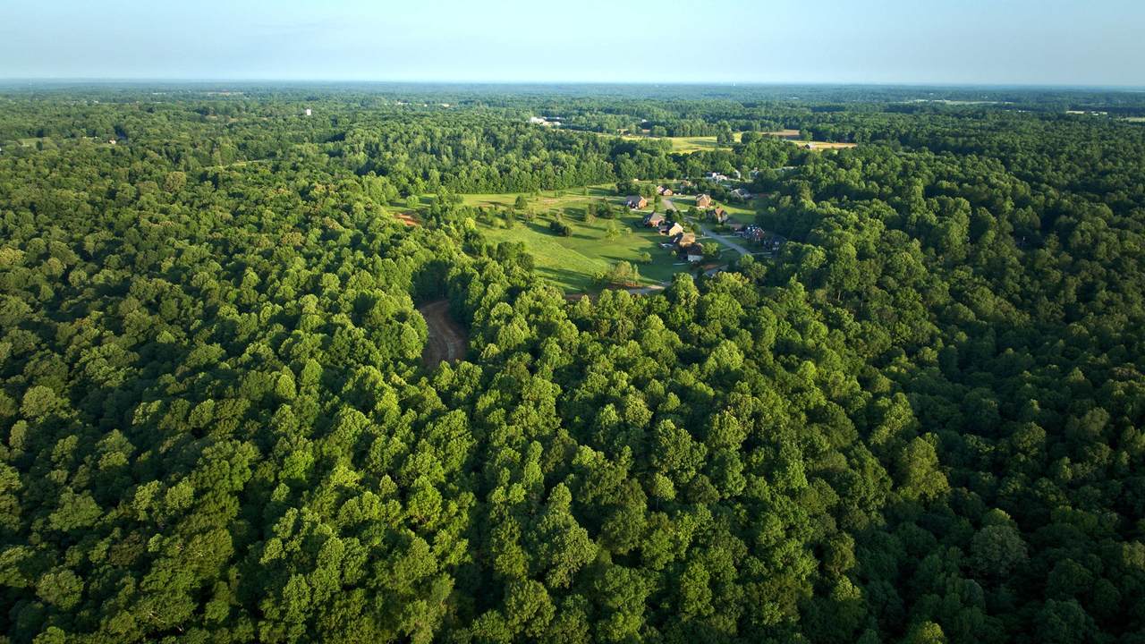 https://bt-photos.global.ssl.fastly.net/nashville/1280_boomver_1_RTC3239606-1.jpg