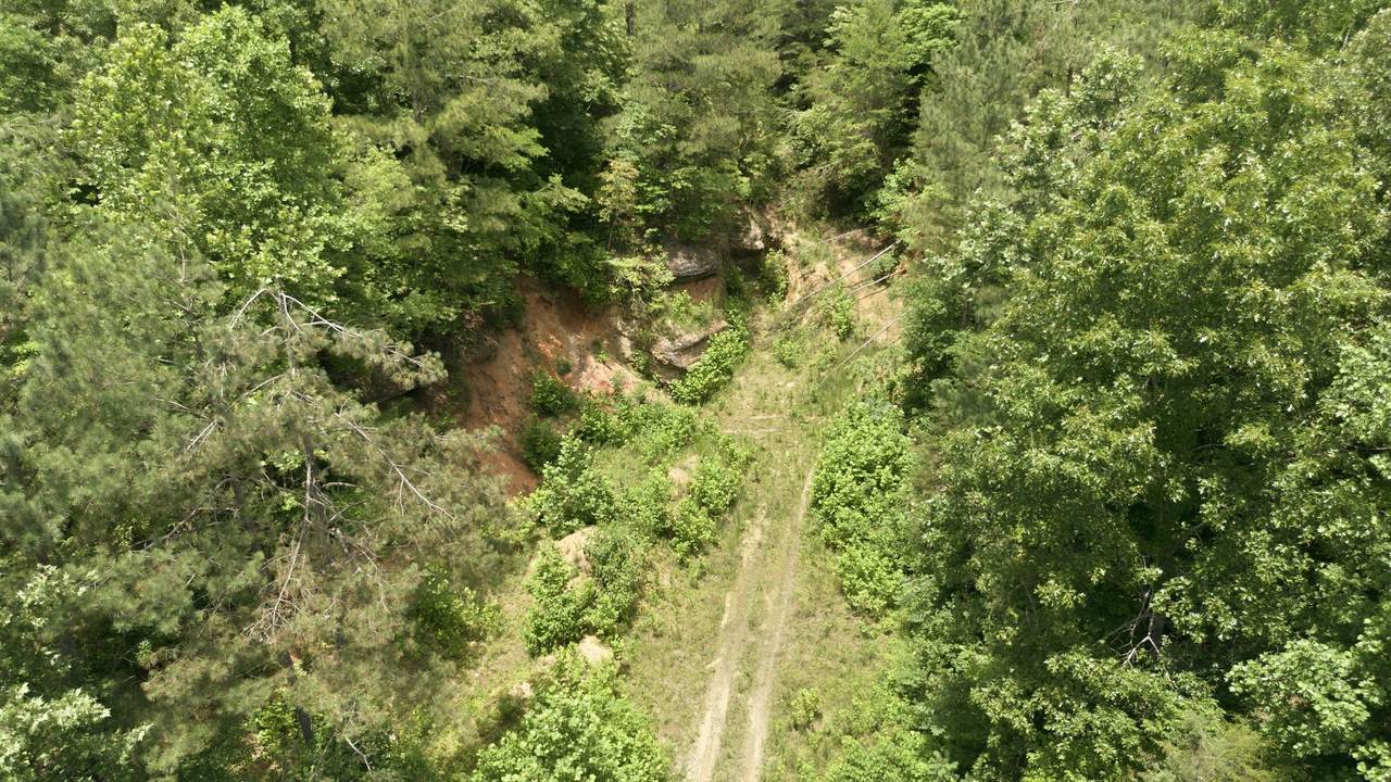 https://bt-photos.global.ssl.fastly.net/nashville/1280_boomver_1_RTC3239748-1.jpg