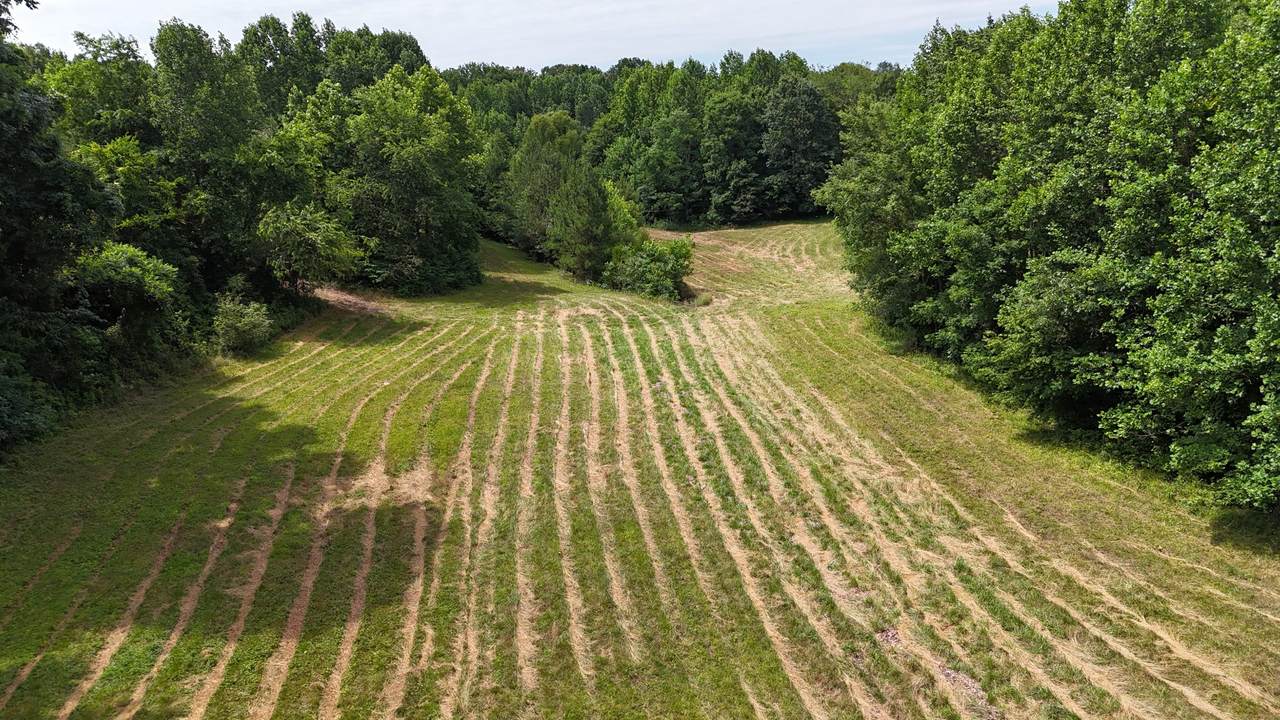 0 Sulphur Creek Road - Photo 1