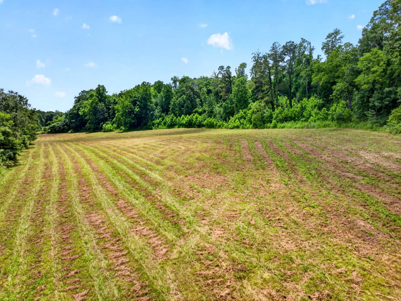 https://bt-photos.global.ssl.fastly.net/nashville/1280_boomver_1_RTC3239828-1.jpg