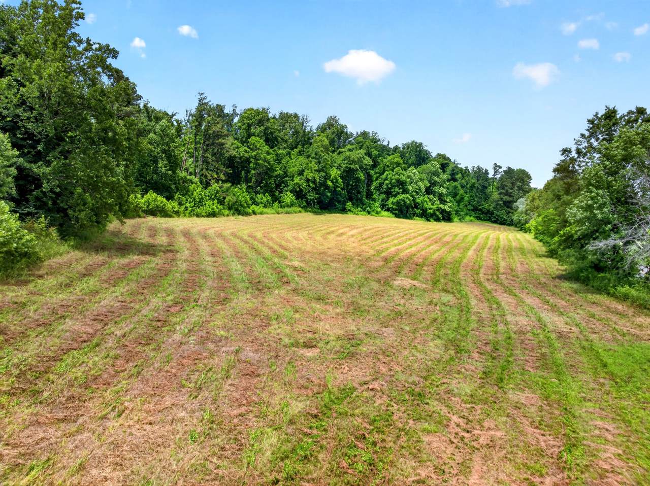 https://bt-photos.global.ssl.fastly.net/nashville/1280_boomver_1_RTC3239828-1.jpg