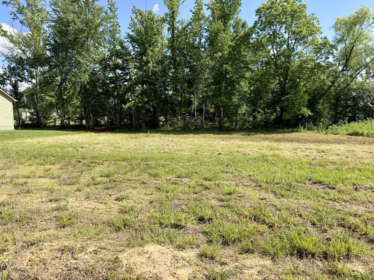 116 Regan Loop - Photo 1