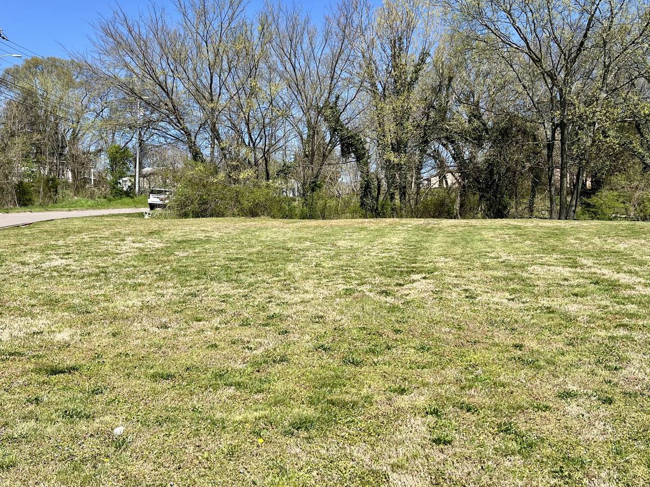 0 Lewisburg Hwy - Photo 1
