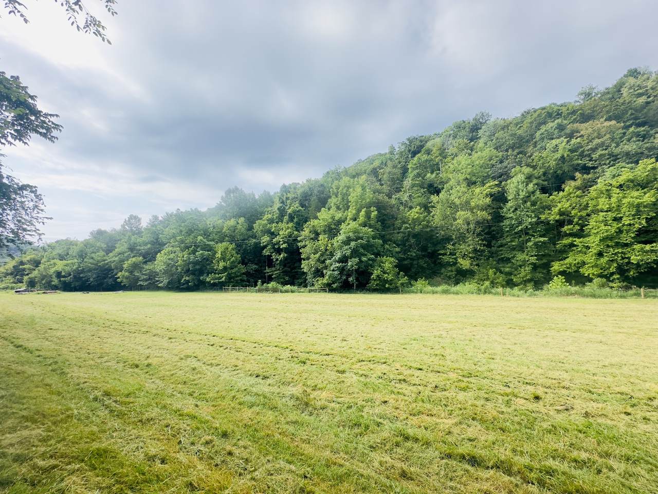 https://bt-photos.global.ssl.fastly.net/nashville/1280_boomver_1_RTC3242184-1.jpg