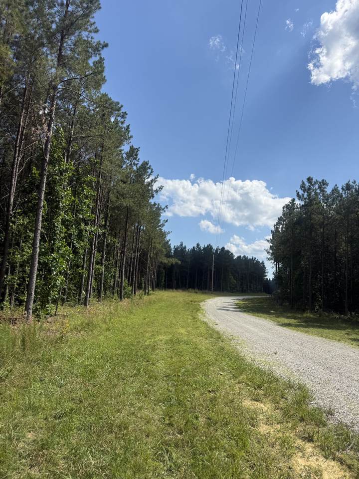 251 Fox Ridge Rd - Photo 1