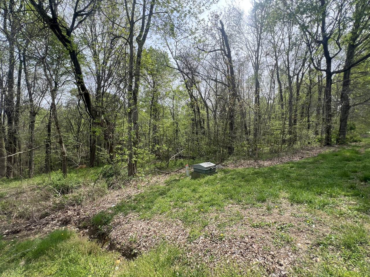 https://bt-photos.global.ssl.fastly.net/nashville/1280_boomver_1_RTC3242245-1.jpg