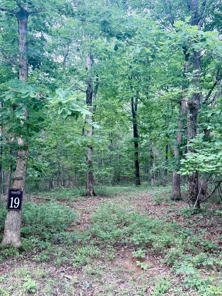 0 Deep Woods Road - Photo 1