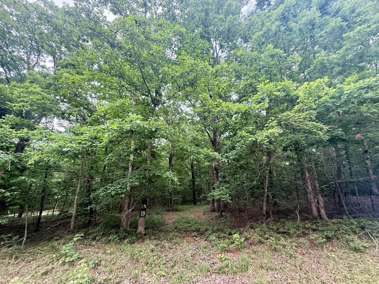 https://bt-photos.global.ssl.fastly.net/nashville/1280_boomver_1_RTC3242352-1.jpg