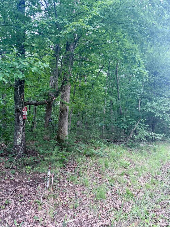 https://bt-photos.global.ssl.fastly.net/nashville/1280_boomver_1_RTC3242352-1.jpg