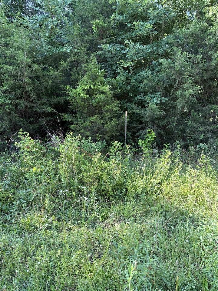 https://bt-photos.global.ssl.fastly.net/nashville/1280_boomver_1_RTC3242537-1.jpg