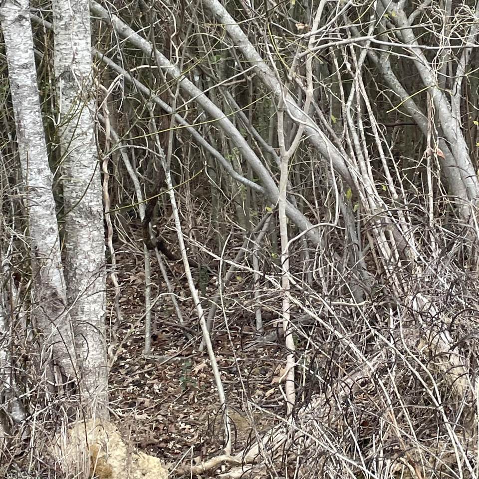 https://bt-photos.global.ssl.fastly.net/nashville/1280_boomver_1_RTC3242537-1.jpg