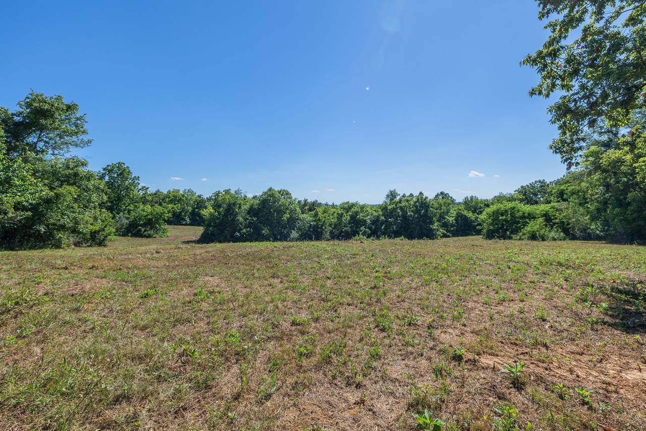 1033 Bugscuffle Road - Photo 1