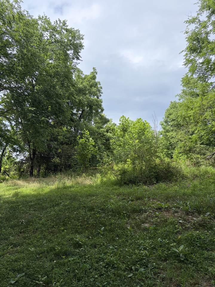 https://bt-photos.global.ssl.fastly.net/nashville/1280_boomver_1_RTC3242865-1.jpg
