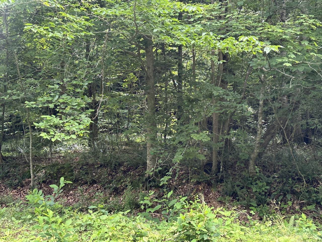 https://bt-photos.global.ssl.fastly.net/nashville/1280_boomver_1_RTC3243134-1.jpg
