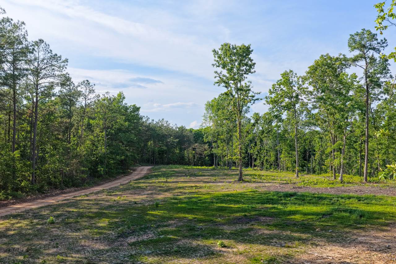 https://bt-photos.global.ssl.fastly.net/nashville/1280_boomver_1_RTC3243347-1.jpg