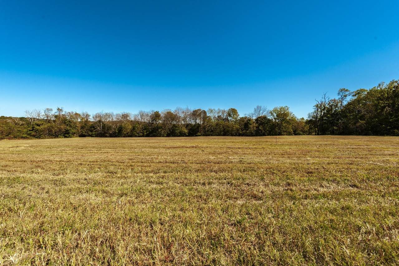 https://bt-photos.global.ssl.fastly.net/nashville/1280_boomver_1_RTC3243570-1.jpg