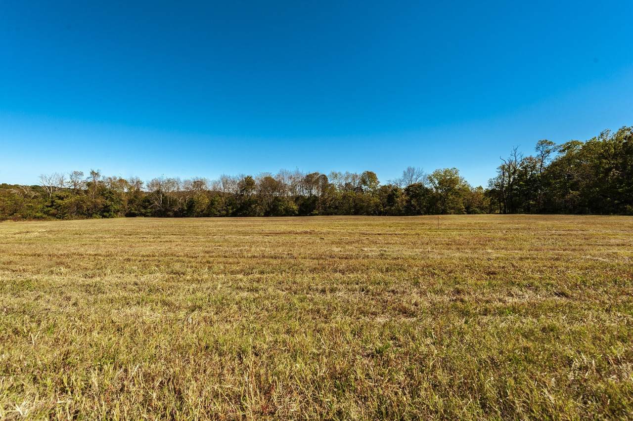 https://bt-photos.global.ssl.fastly.net/nashville/1280_boomver_1_RTC3243571-1.jpg