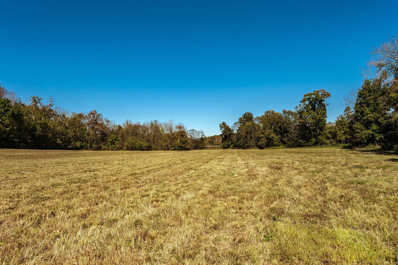 https://bt-photos.global.ssl.fastly.net/nashville/1280_boomver_1_RTC3243572-1.jpg