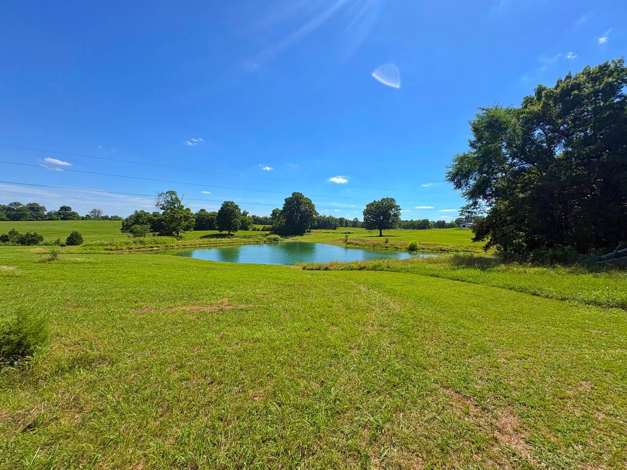 485C Canoe Branch Rd - Photo 1