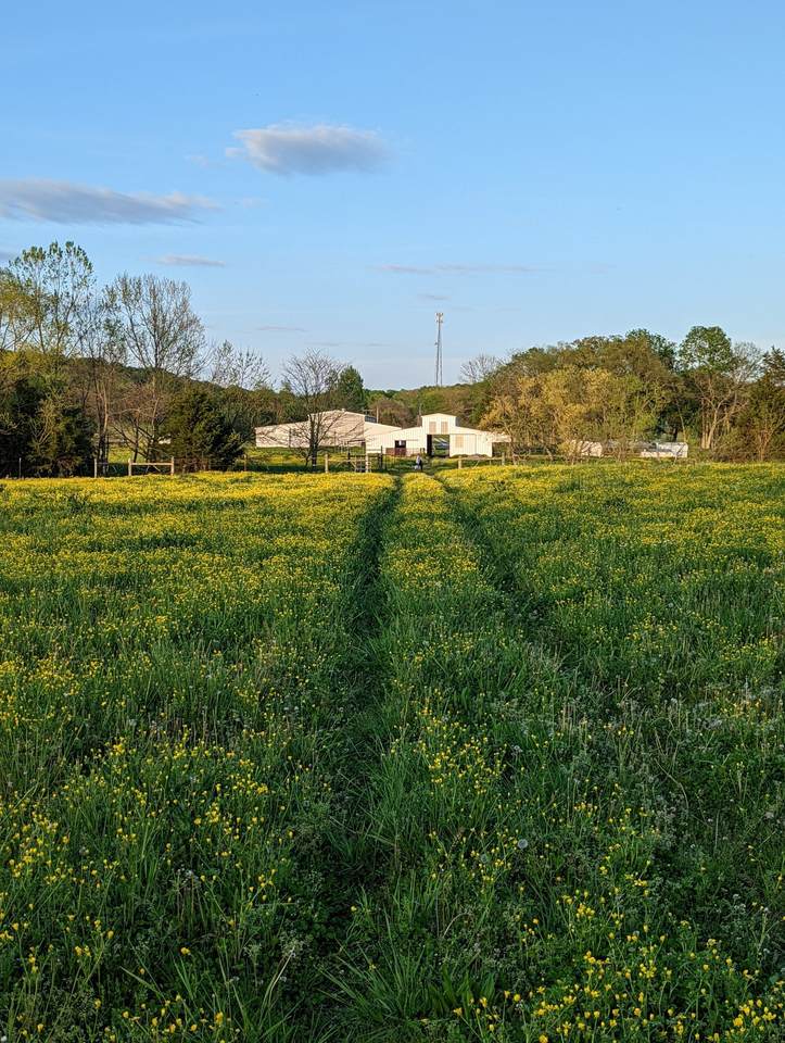https://bt-photos.global.ssl.fastly.net/nashville/1280_boomver_1_RTC3243732-1.jpg