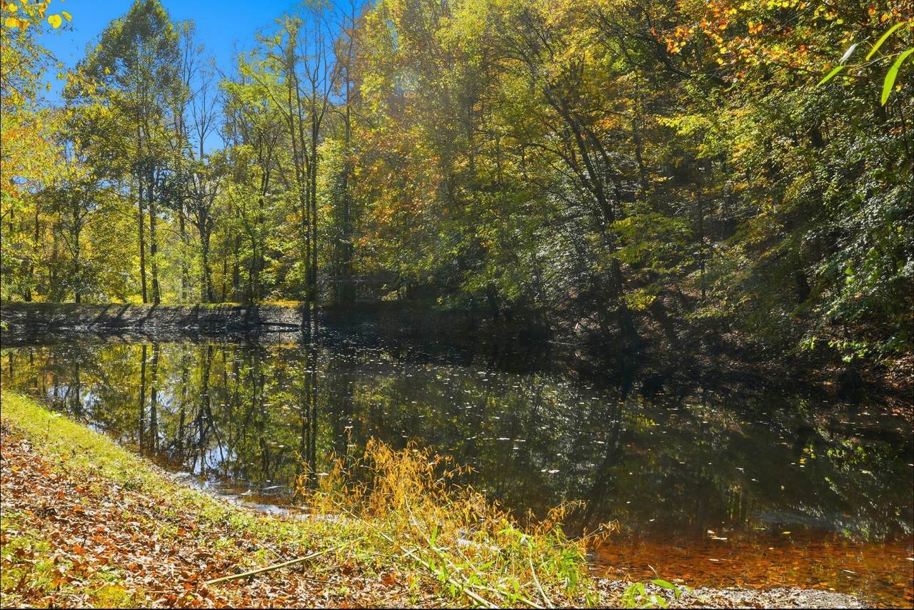4300 Bull Run Rd - Photo 1