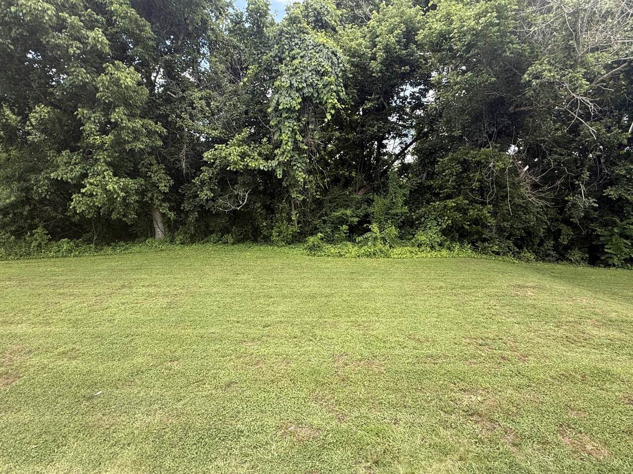0 Clear Creek Circle - Photo 1