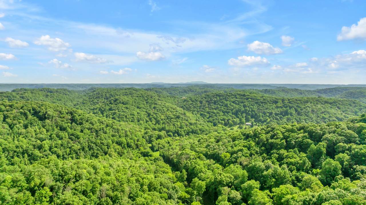 https://bt-photos.global.ssl.fastly.net/nashville/1280_boomver_1_RTC3243935-1.jpg