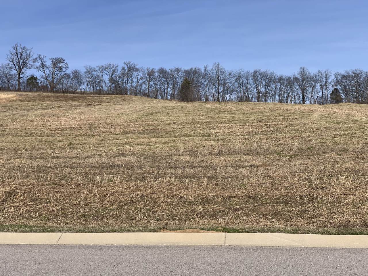 0 Nashville Hwy - Photo 1