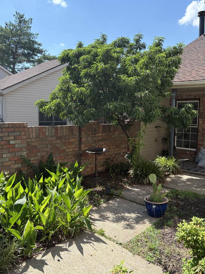 404 Laurel Hill Dr - Photo 1