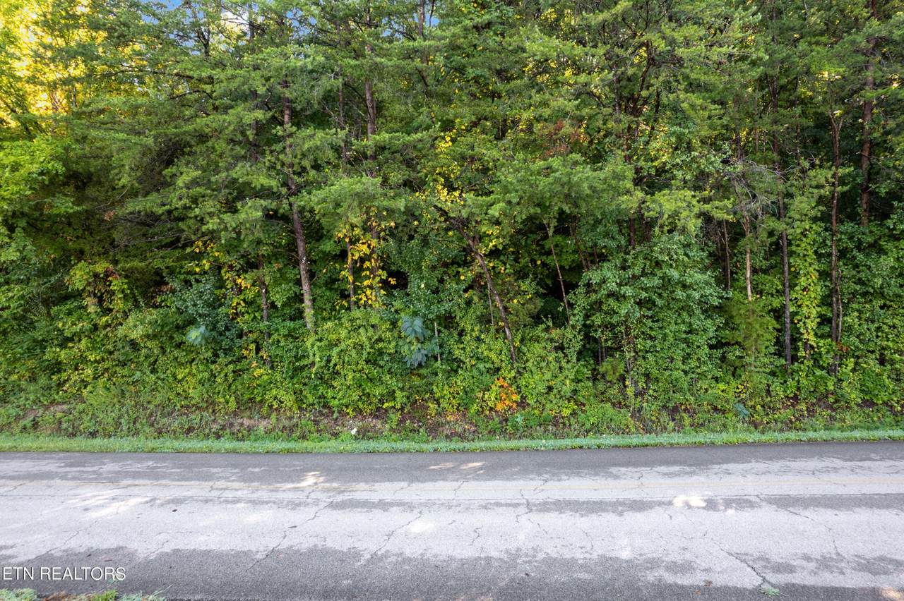 https://bt-photos.global.ssl.fastly.net/nashville/1280_boomver_1_RTC3244106-1.jpg