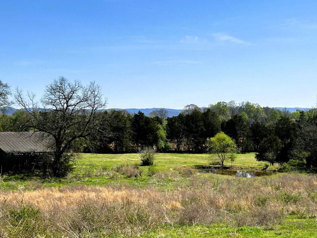 175 County Road 571 - Photo 1