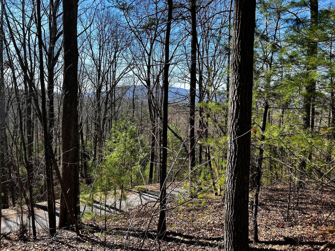 107125 Chestnut Mountain Road - Photo 1
