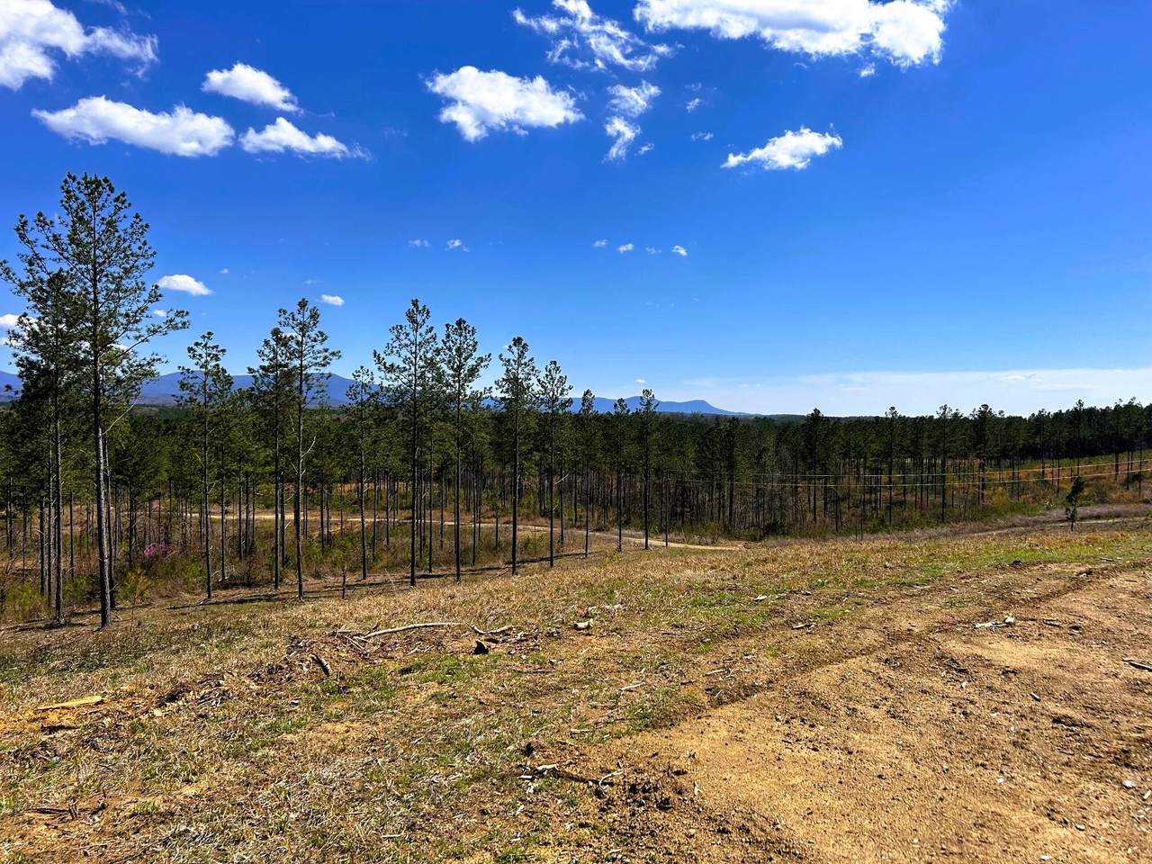 26 Hughes Lake Road Se - Photo 1