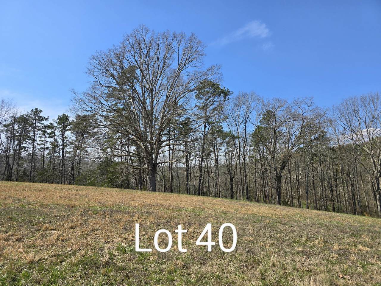 https://bt-photos.global.ssl.fastly.net/nashville/1280_boomver_1_RTC3244189-1.jpg