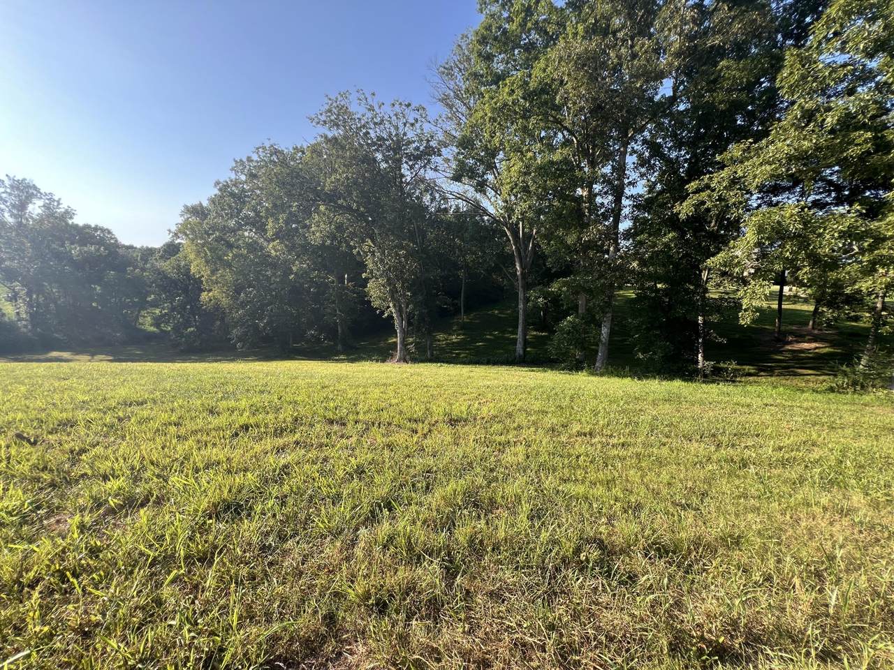 37 Bear Creek Road - Photo 1
