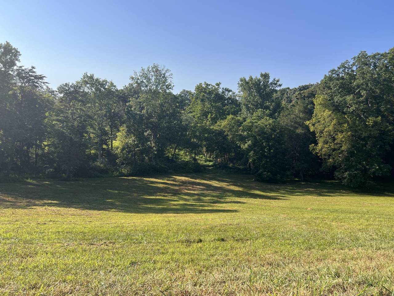 39 Bear Creek Road - Photo 1