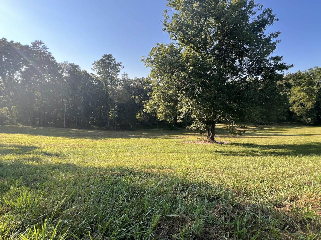https://bt-photos.global.ssl.fastly.net/nashville/1280_boomver_1_RTC3244201-1.jpg