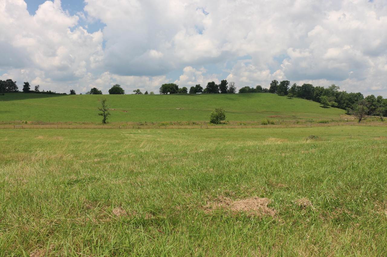 4 County Road 461 - Photo 1