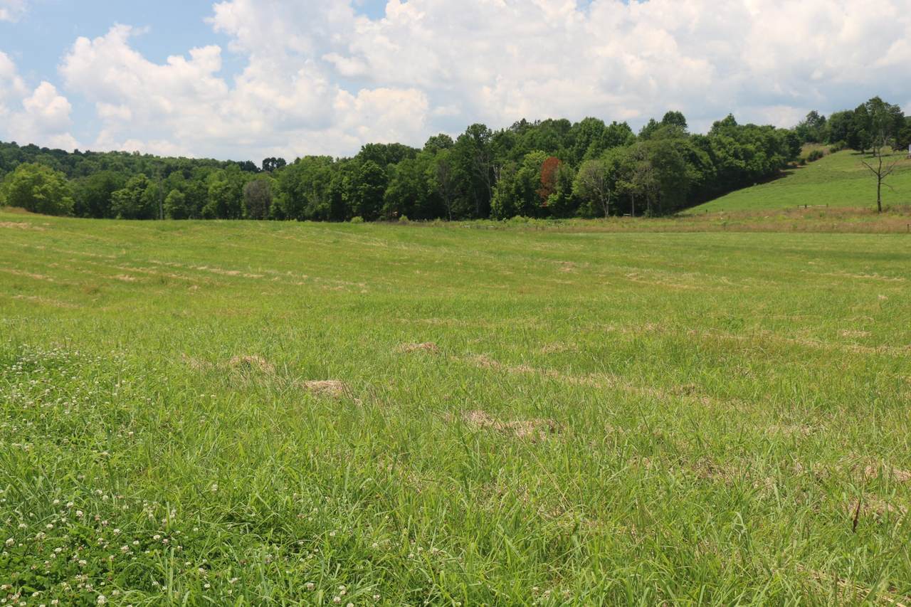 5 County Road 461 - Photo 1