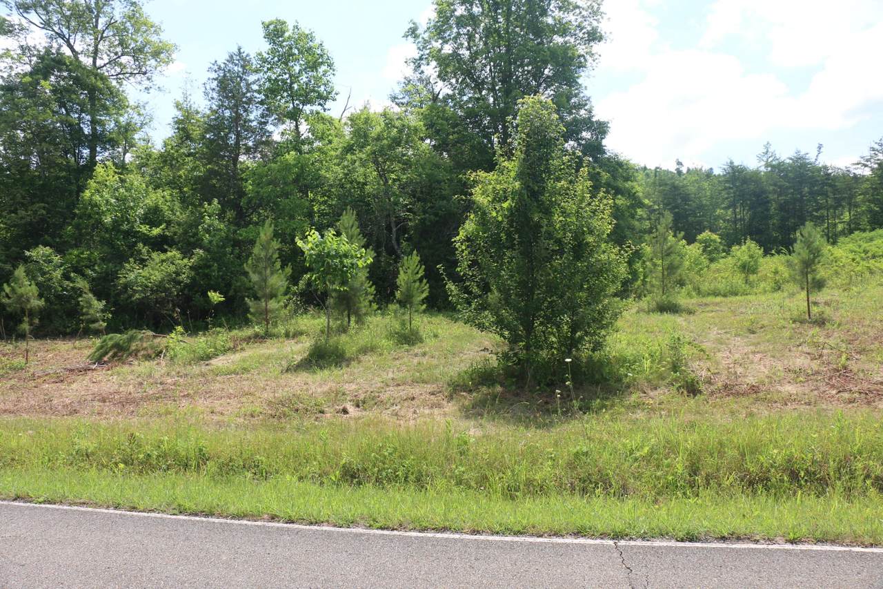 https://bt-photos.global.ssl.fastly.net/nashville/1280_boomver_1_RTC3244216-1.jpg