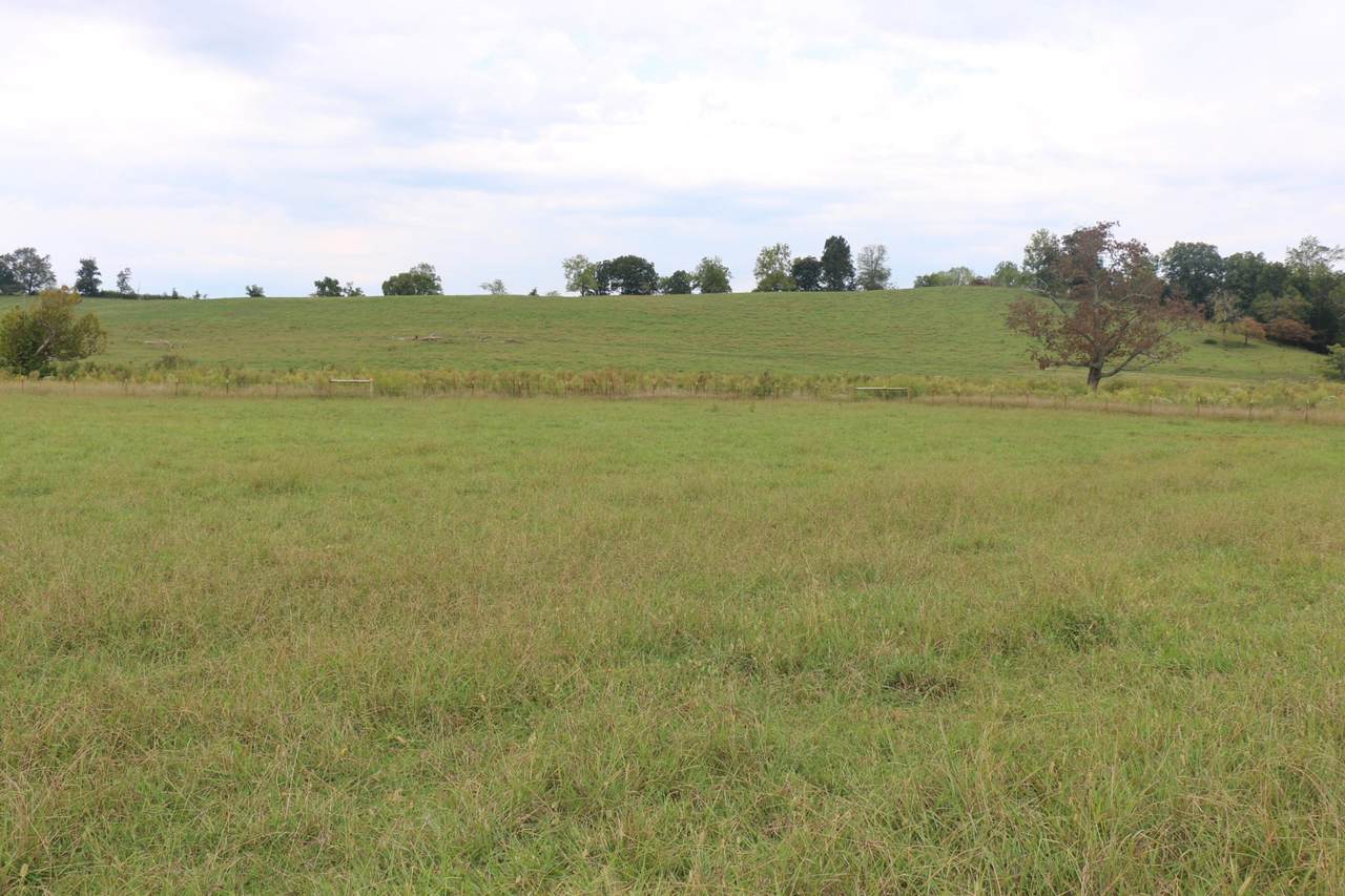 1163 County Road 461 - Photo 1