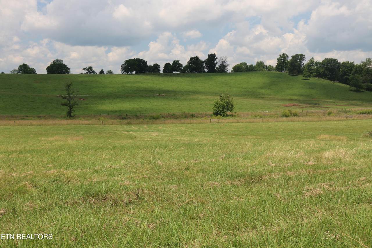 4 County Road 461 - Photo 1