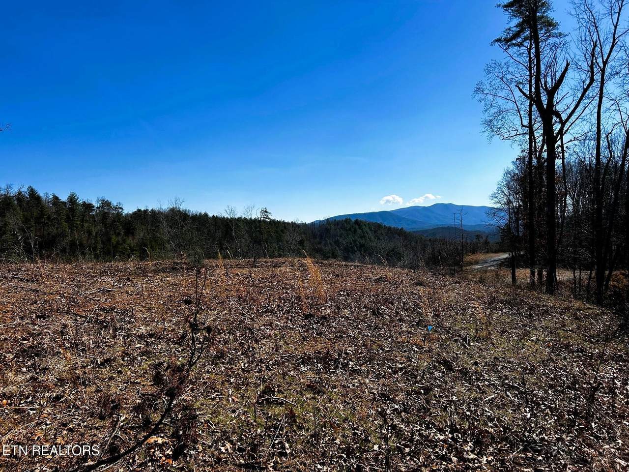 107125 Chestnut Mountain Rd - Photo 1