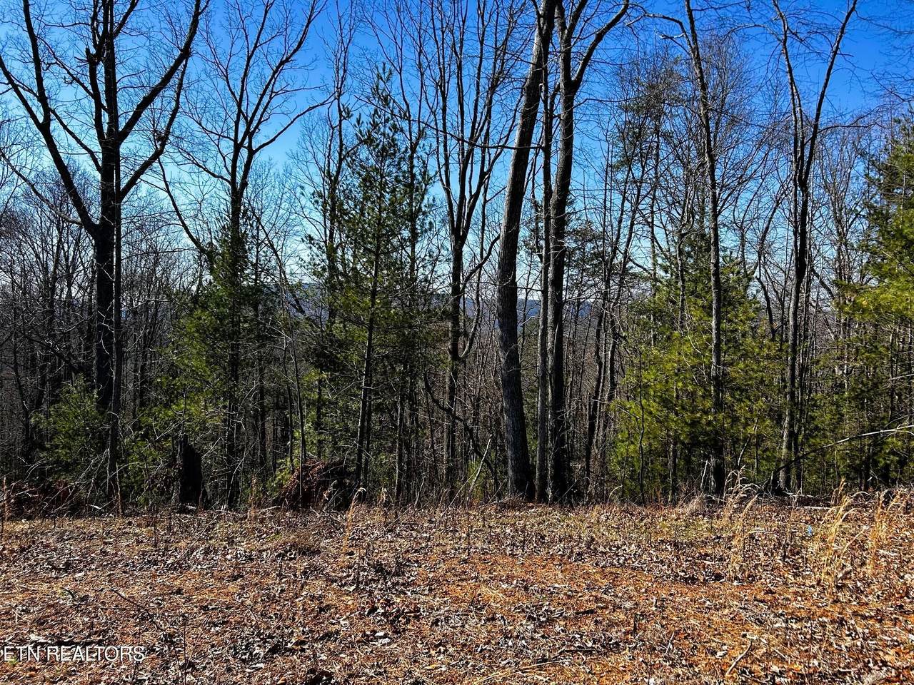 https://bt-photos.global.ssl.fastly.net/nashville/1280_boomver_1_RTC3244231-1.jpg