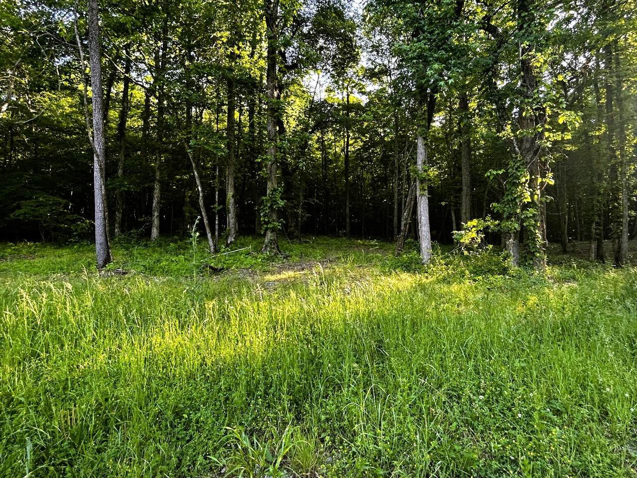9 Pleasant Hill Road - Photo 1
